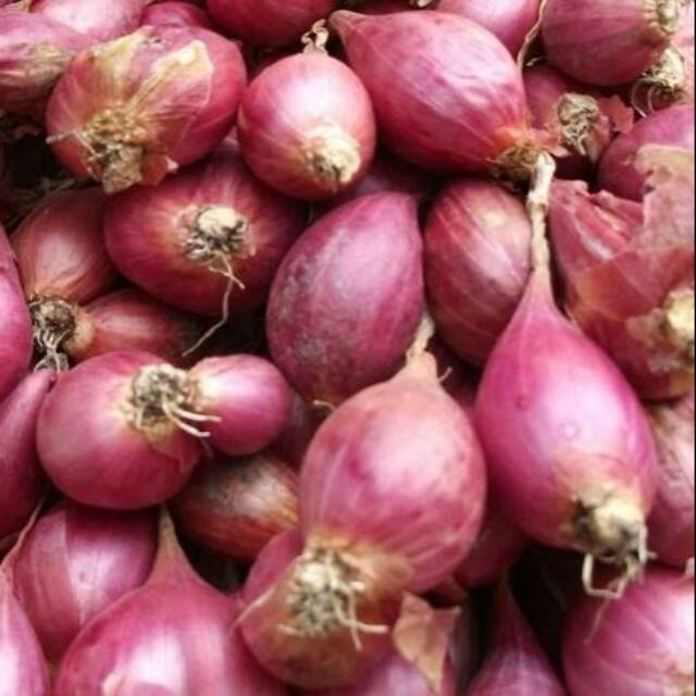 

Bawang Merah 100 Gram - Narasa 3