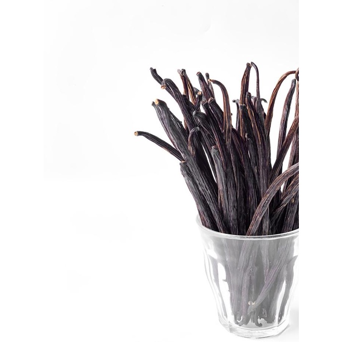 Vanilla Beans / Vanili Kering 1 kg ---NEW---