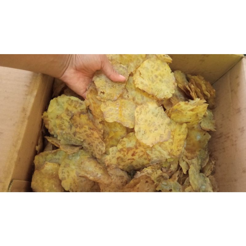 

JENGKOL JARIANG KERUPUK 100% ASLI EMPING