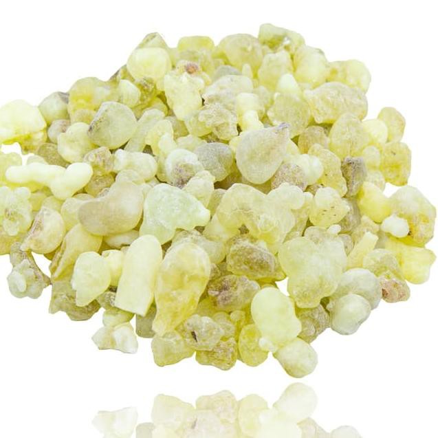 

Siap Kirim-950 50g Premium Royal White Hojari Frankincense / Kemenyan Luban Asli Oman