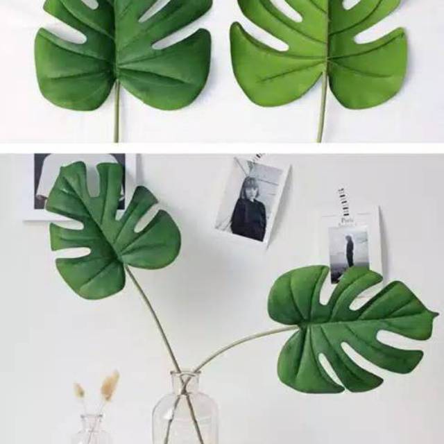 Daun Monstera Latex / monstera / monstera artificial