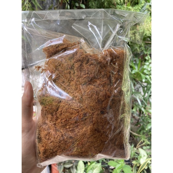 

Abon Ayam Pedas 1/4 kg