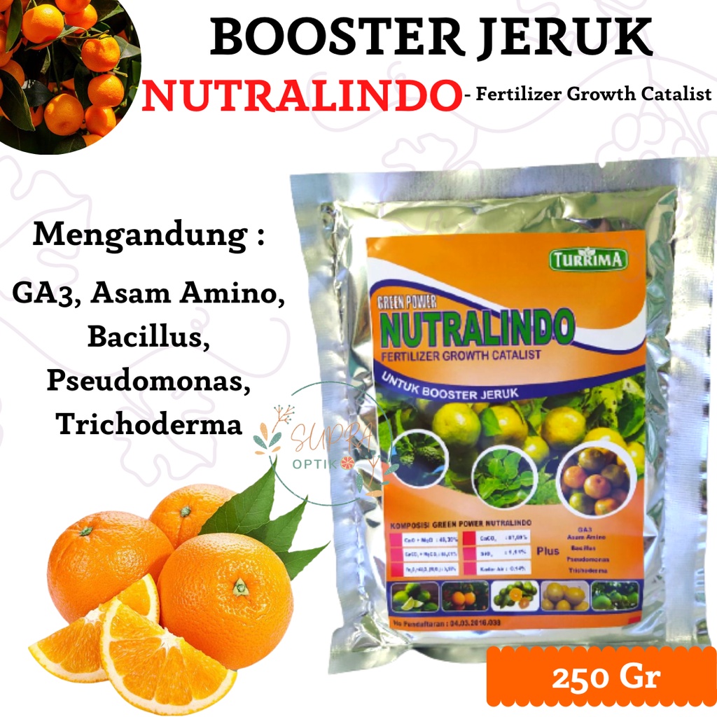 Pupuk Jeruk Cepat Berbuah,Pupuk Buah Jeruk Santang Madu, Booster Jeruk Berbuah Lebat