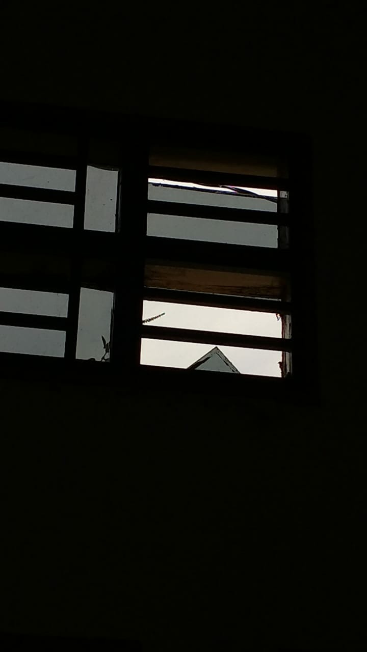 Payung Lipat / Payung Lipat Simple / Payung / Umbrella / Payung Murah / Payung Motif