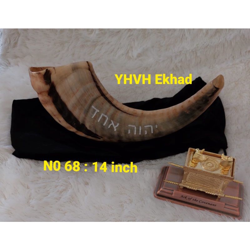 Ram Shofar Sofar Sangkakala Trumpet Rams Horn