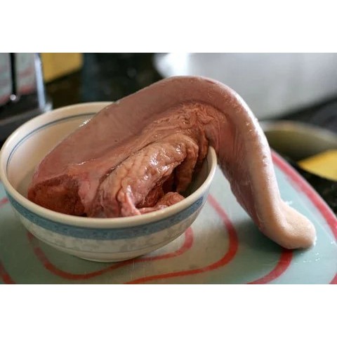 

LIDAH SAPI SEGAR ( FRESH BEEF TONGUE )