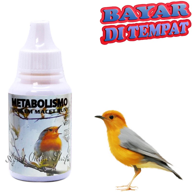 VITAMIN BURUNG MACET BUNYI METABOLISMO MURAI KACER KICAU GACOR