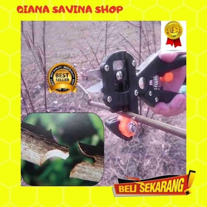 

3.3 Gunting Grafting Taman Kebun Stek Sambung Tool Pruning Exclusive