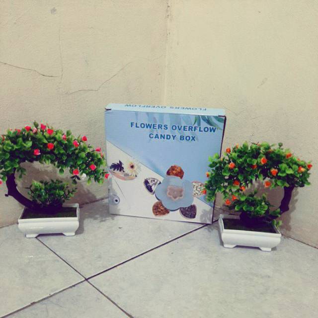 Toples puter / toples plastik / toples calista