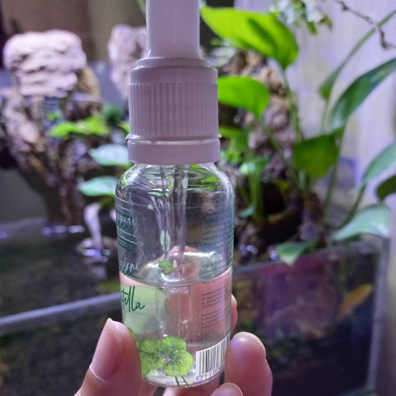 Npure Essence Cantela (PRELOVED)