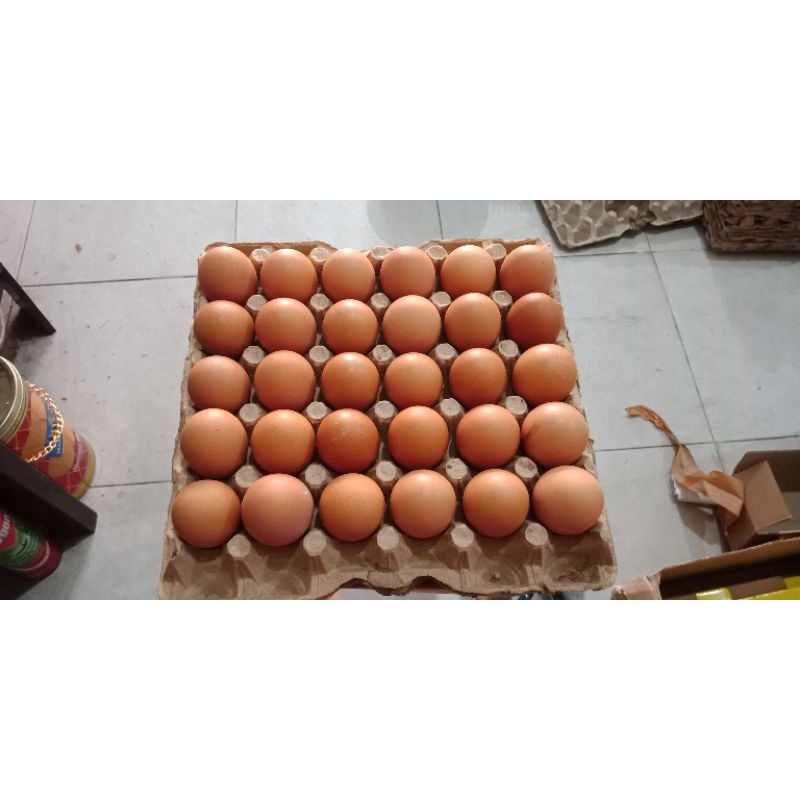 

Telur ayam negeri per KG DIJAMIN FRESH...kualitas premium