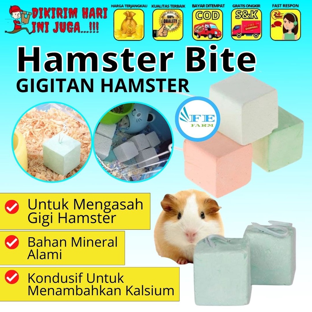 Gigitan Hamster Batu Gigit Hamster Batu Asah hamster Gnawing Stone Alex FEFARM