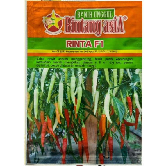 Benih cabe rinta f1