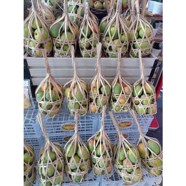 

Mangga Gedong Gincu 3 kg /keranjang