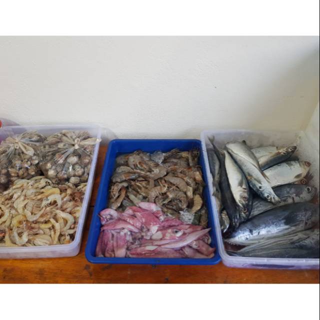 

CUMI CUMI 250gr (SIZE BESAR)