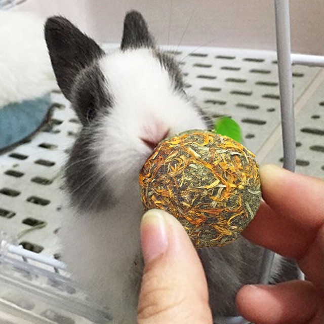 HAY BALL SNACK MAKANAN KELINCI MAINAN KELINCI CHINCILLA MAINAN BOLA HAY MAINAN MARMUT HAMSTER