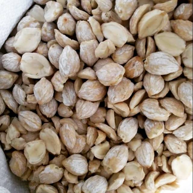 

Bumbu Masakan Kemiri Pecah 1kg / Empon empon kualitas super 1000 gram