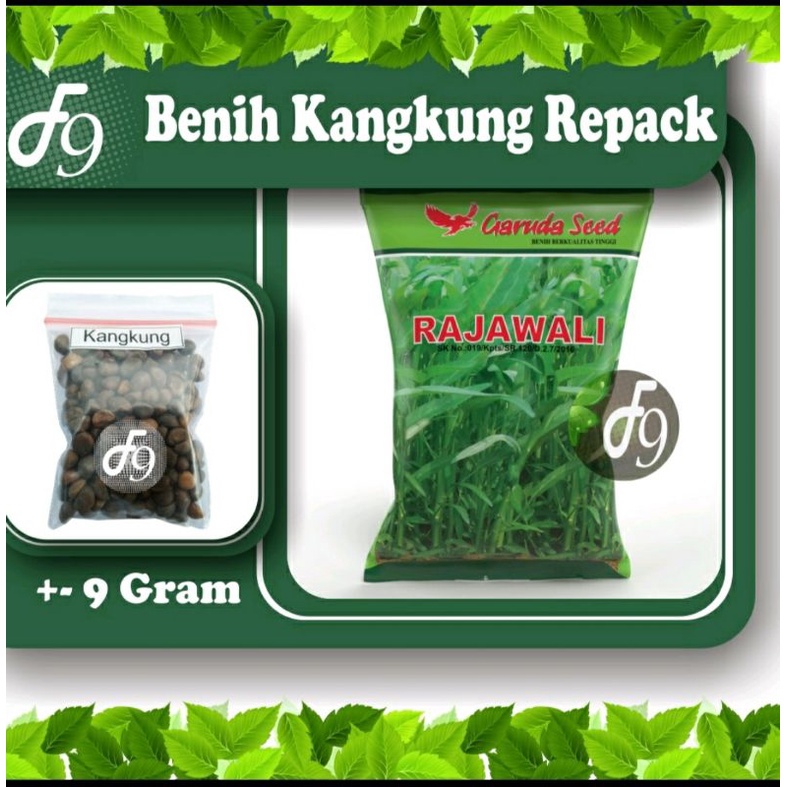 Benih Kangkung Bibit Kangkung Cap Panah Merah