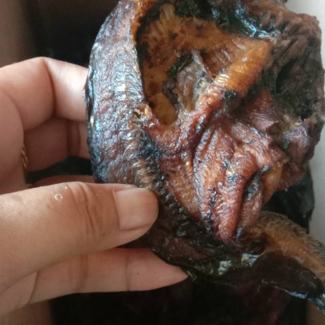 

Ikan sale lele /asap