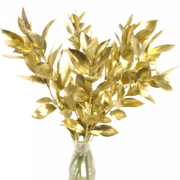 Daun Ruskus GOLD | Dried Ruscus GOLD | Scrapbook Ruskus Kering | Bunga Kering Ruskus Warna Emas