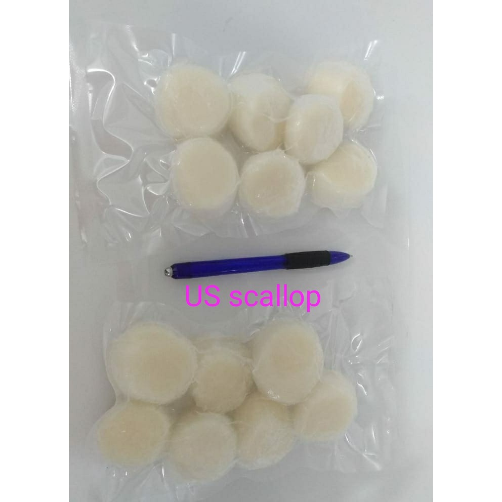 

US Scallop kemasan 250gram