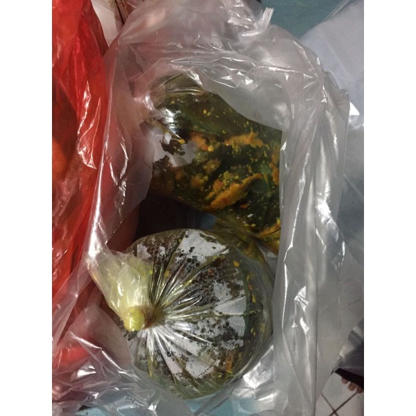 

Kerang hijau pedas
