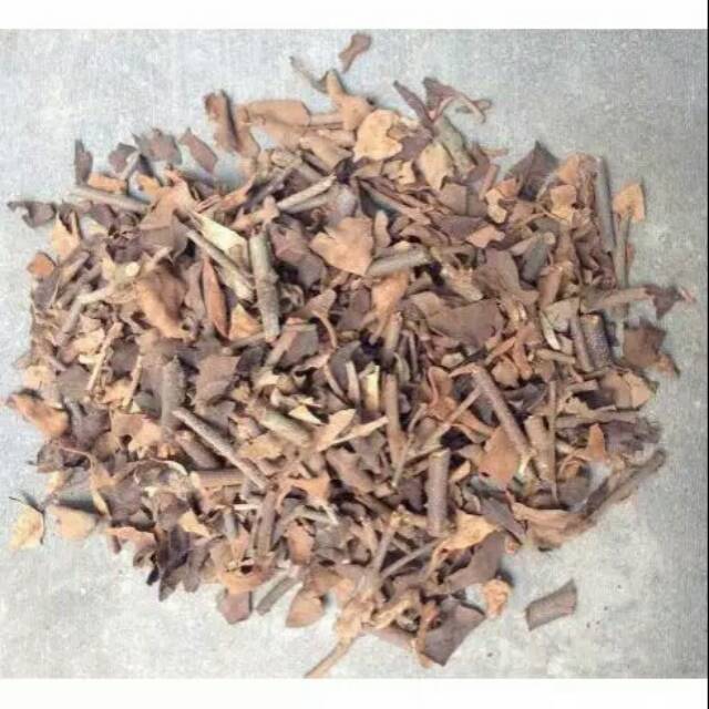 

BENALU KOPI KERING 500 GRAM obat herbal