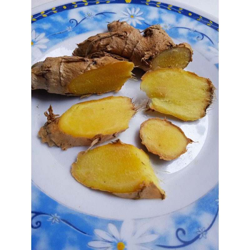 

umbi lempuyang segar 250 grm