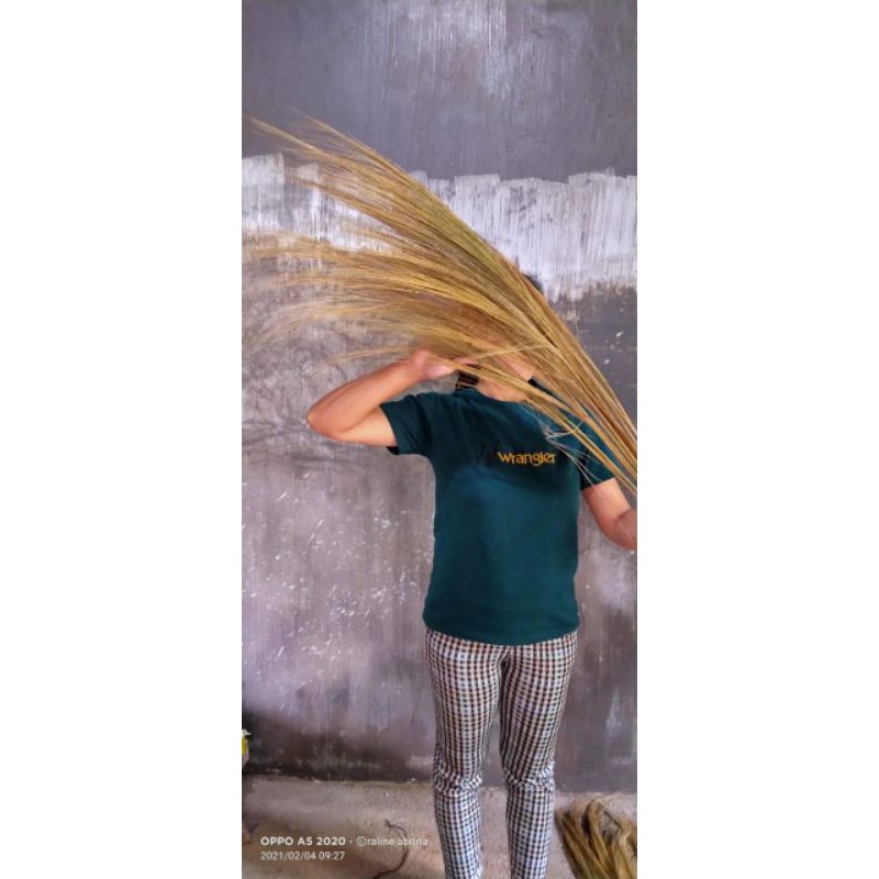 20 batang rayung/Bunga pampas rayung kering natural pilihan