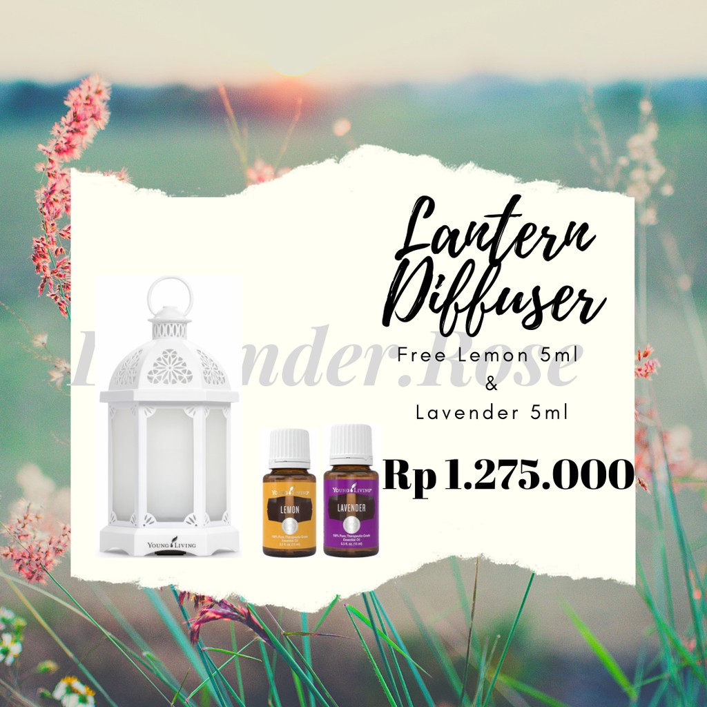 Lantern Diffuser Young Living