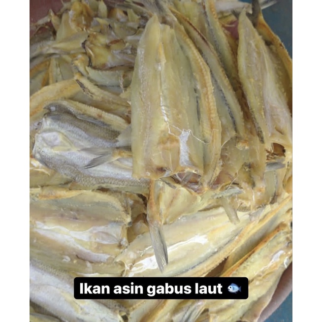 

ikan Asin gabus Laut (Berat 250gram)