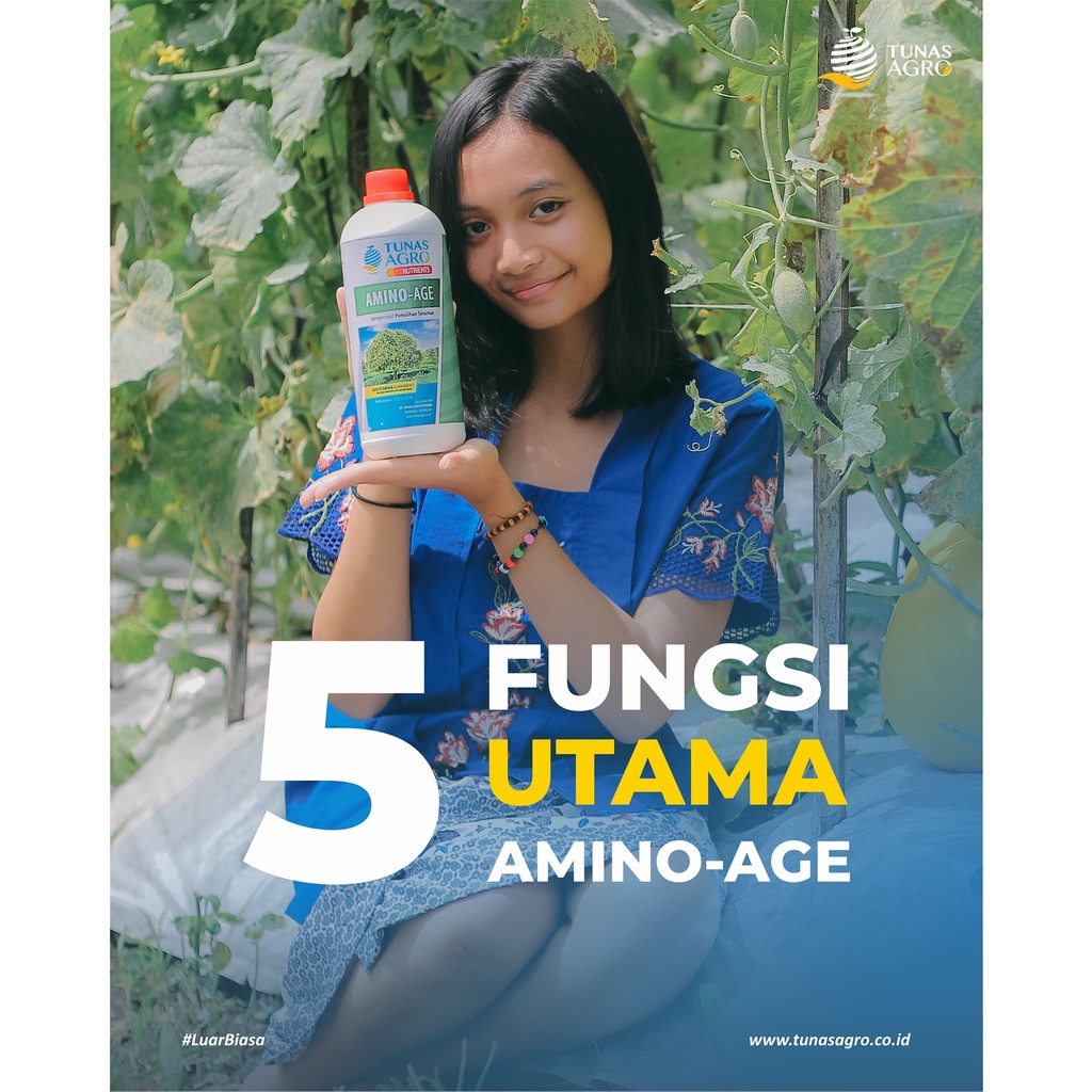 Pupuk Organik Cair Nutrisi AMINO-AGE - Mempercepat Pemulihan Tanaman - Kaya Asam Amino Murni &amp; Vitamin - TUNAS AGRO NUTRIENTS - 1 LITER / 1000 ML