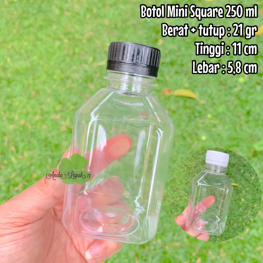 Botol Mini Square 250 ml Botol Kopi Juice kotak pendek 250 ml lucu
