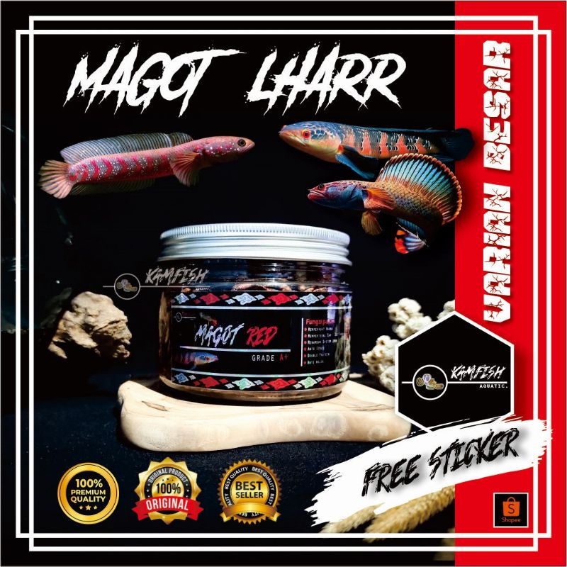 MAGOT KERING PAKAN IKAN AROWANA SUPER RED/MAGOT BSF VARIAN RED