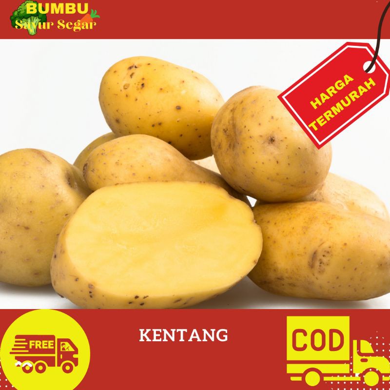 

KENTANG