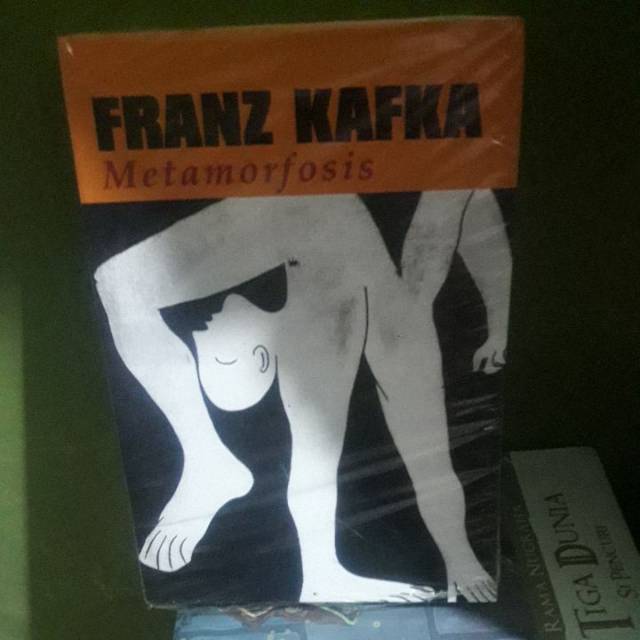 Franz kafka metamorfosis