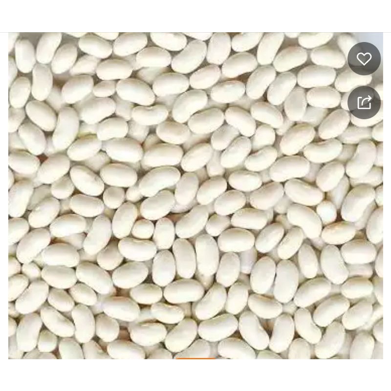 

Kacang Tanah Tanpa Kulit