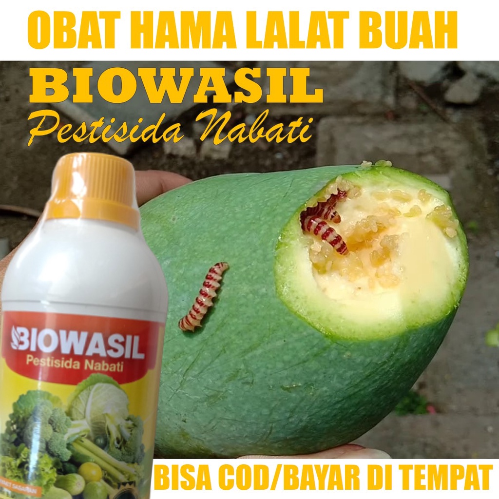 500 ml Biowasil - Pestisida Organik Semprot Obat Hama Ulat Buah - Pupuk Semprot Basmi Hama Ulat Buah