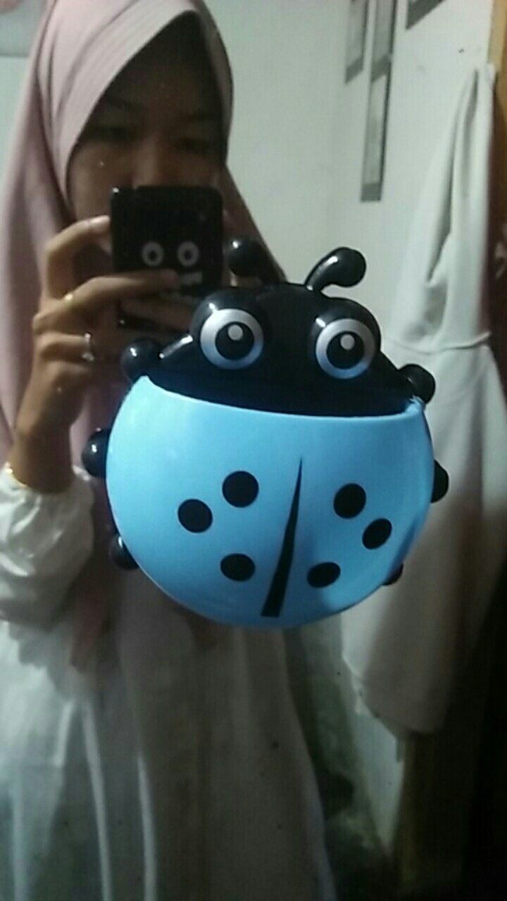 Tempat Odol Dan Sikat Gigi Tempel Ladybug