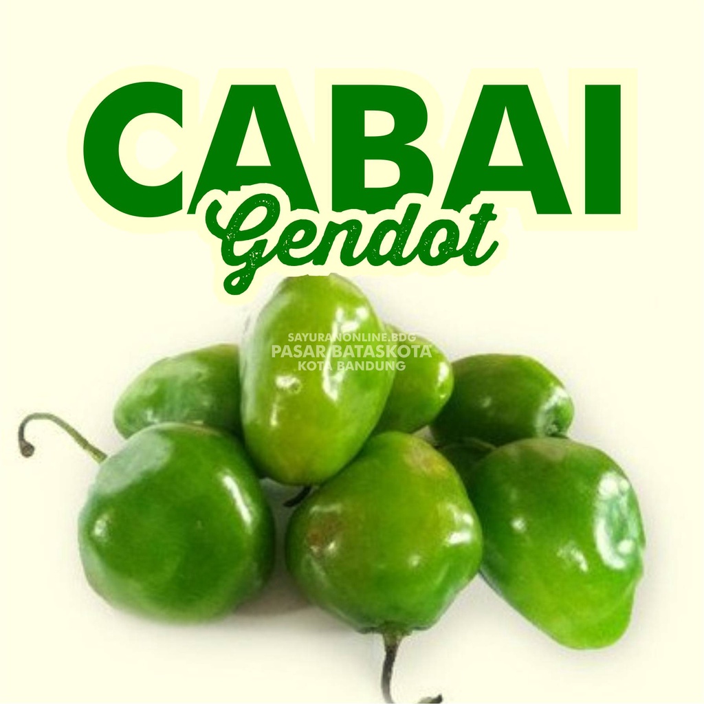 

CABAI GENDOT SAYURAN SEGAR FRESH BANDUNG