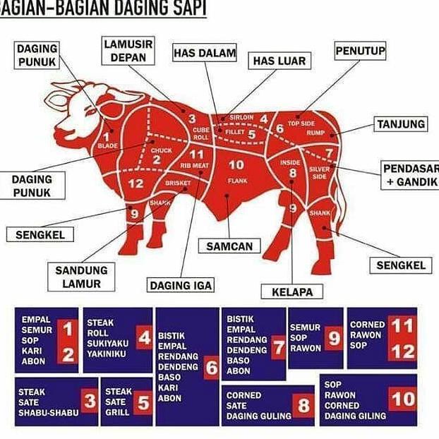 

Side Penutup Giling Daging Top Sapi Mr.Store83