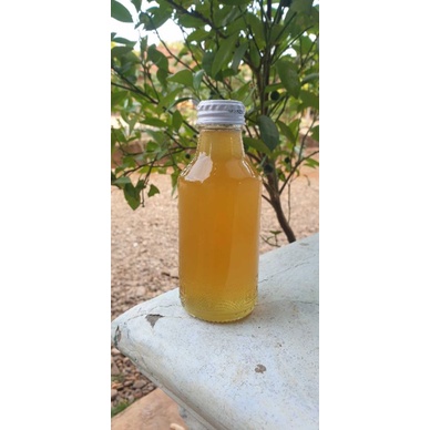 

Madu Murni Lebah Hutan Tawon Gung 140ml