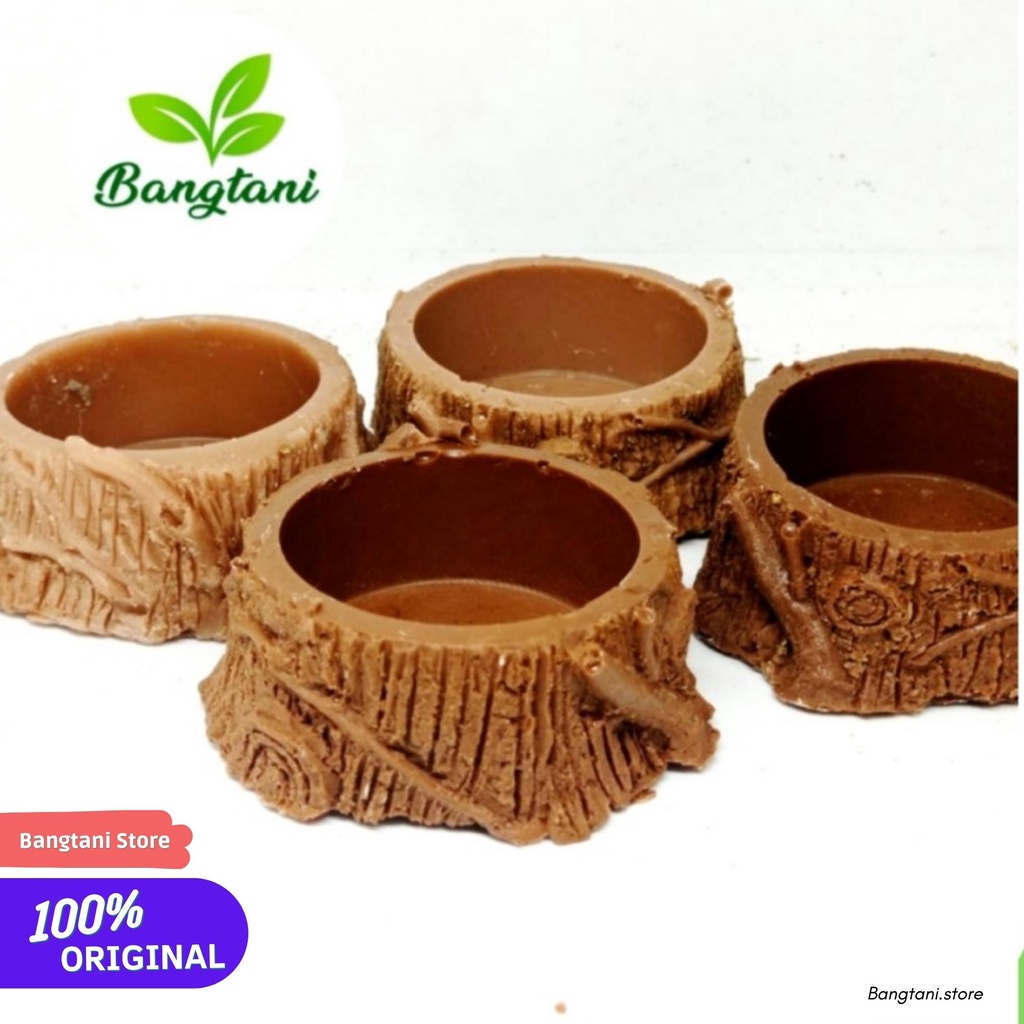 Water Dish Tempat Minum Reptile cocok untuk gecko ular kecil kadal skink baby camaleon bunglon baby 