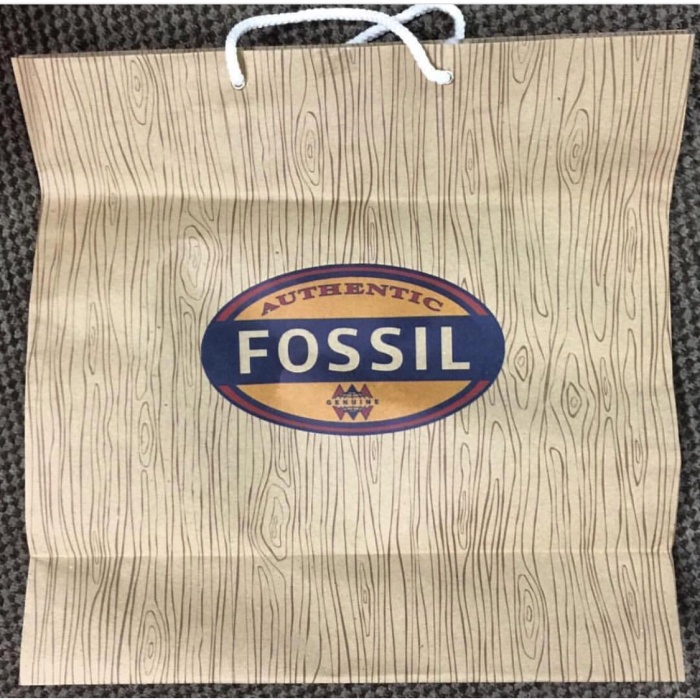 

(TERLARIS) Fossil Paperbag