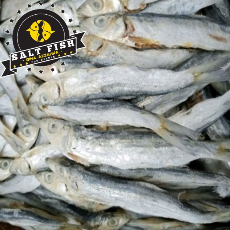 

Ikan Asin Japuh Kering Kualitas Super (500 Gram)
