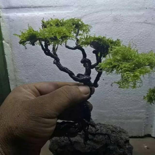 Miniatur Bonsai Cantik Dan Murah Aquascape Aquarium Size L