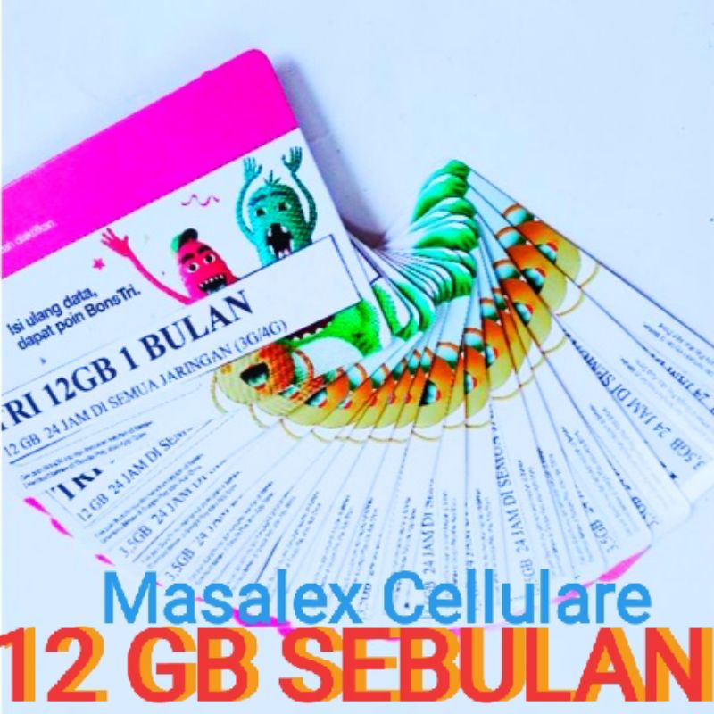 VOCER TRI 12GB SEBULAN