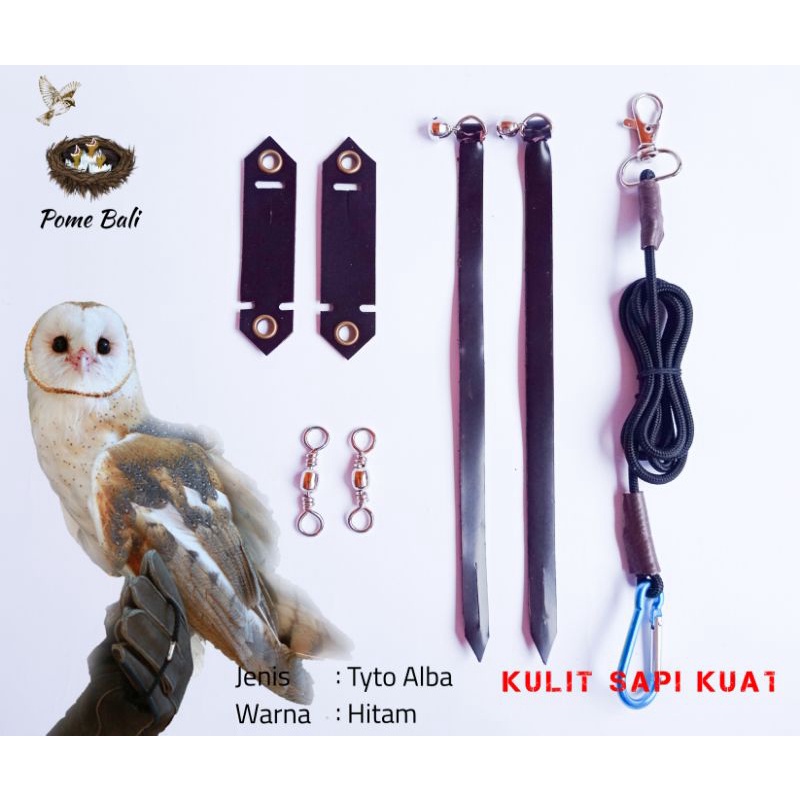 Angklet / Anklet Tyto Alba / Serak Jawa