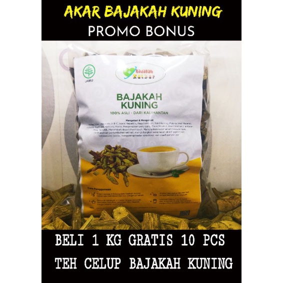 

BAJAKAH , AKAR KAYU BAJAKAH KUNING ASLI KALIMANTAN BELI 1 KG GRATIS TEH CELUP BAJAKAH KUNING 10 PCS