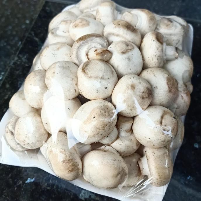 

TERMURAH Jamur Champignon 500gr Kode 791